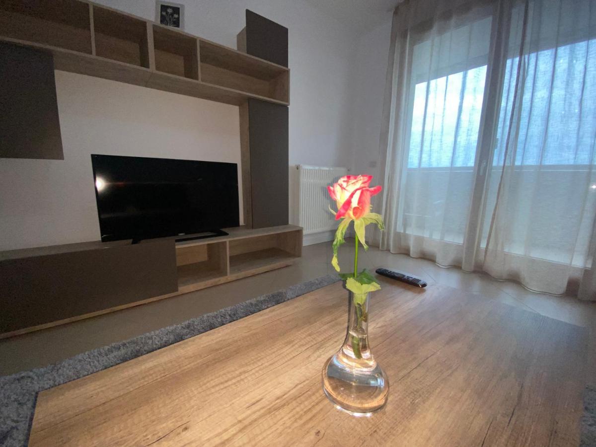 Central Apartment Timisoara Exterior photo