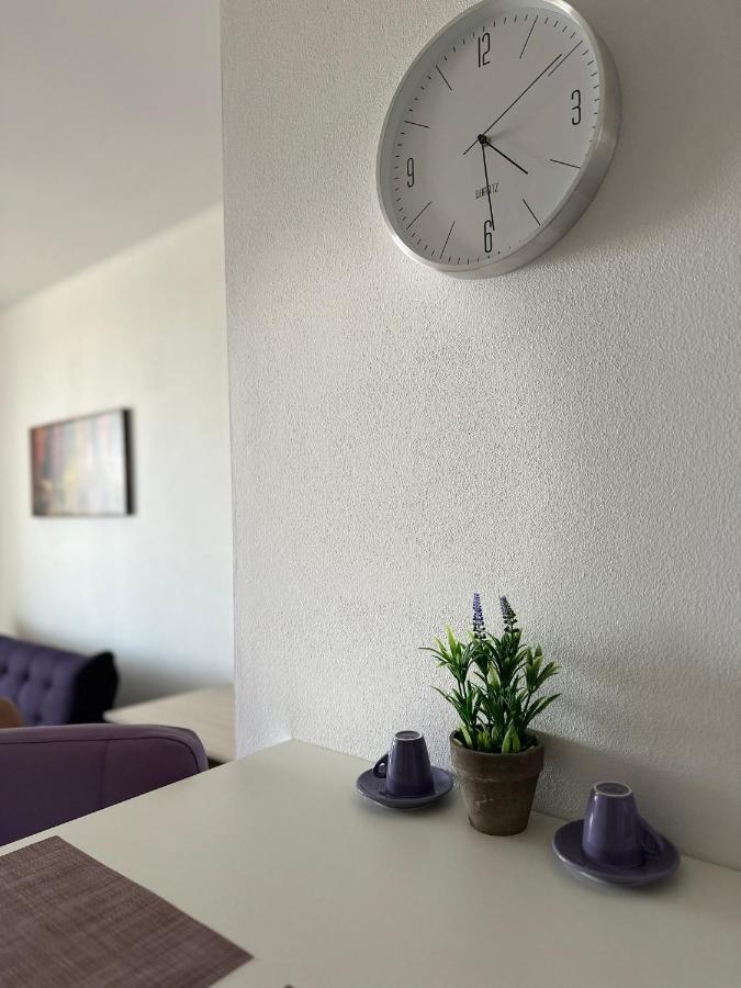 Central Apartment Timisoara Exterior photo